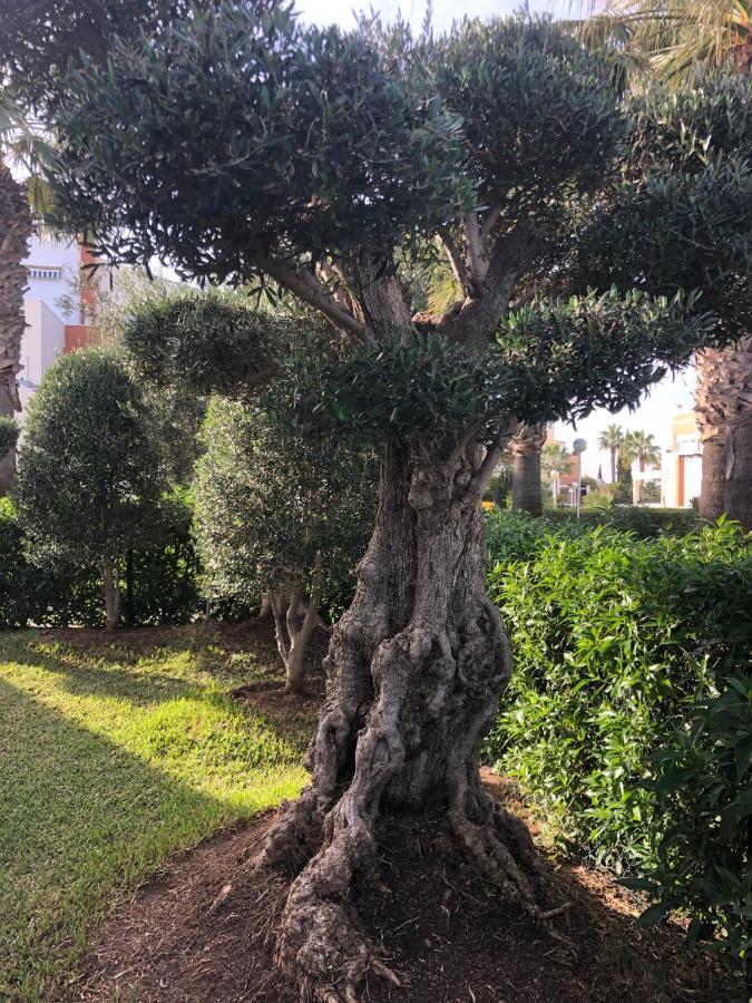דירות Vera Natura Apartamento Los Olivos מראה חיצוני תמונה